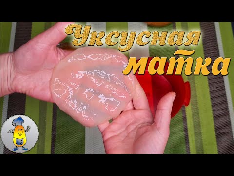 Видео: УКСУСНАЯ МАТКА: что это такое и как ее сделать в домашних условиях