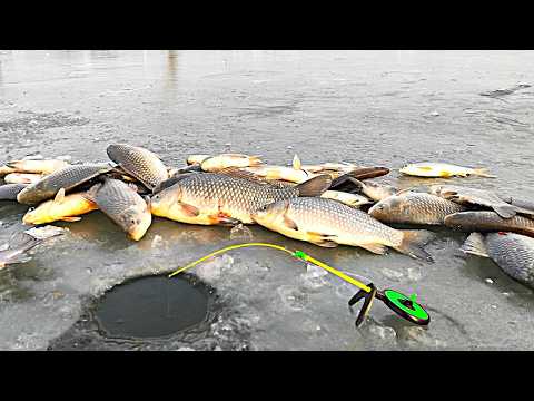 Видео: Лютый ЖОР КАРАСЯ!!! ЛОМАЕТ УДОЧКИ! Зимняя рыбалка на карася