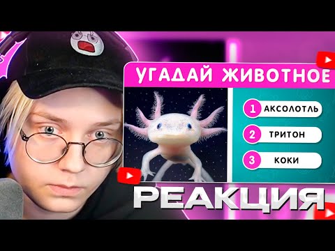 Видео: ДРЕЙК СМОТРИТ - УГАДАЙ ЖИВОТНОЕ ПО ФОТО🤔🐺🦊🦥 EMOJI COOL 😎