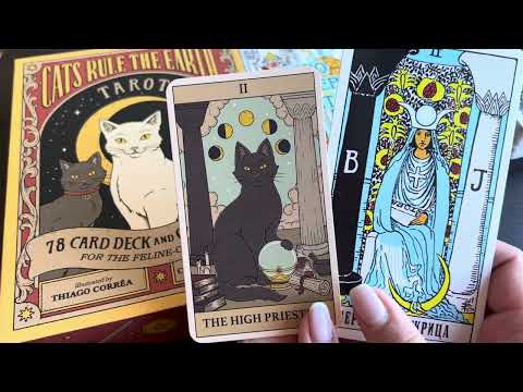 Видео: Обзор Таро Кошки правят миром, Cats Rule the Earth Tarot 😻🌍