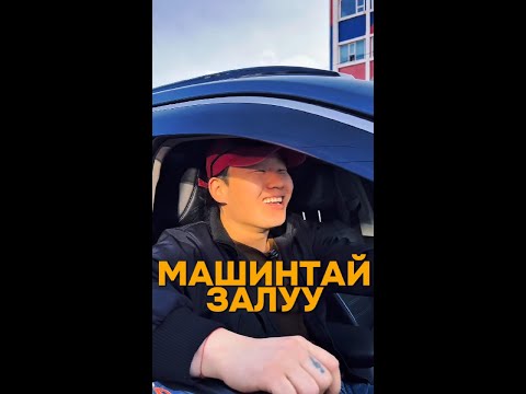 Видео: ЗАРИМ ОХИДЫН ХУВЬД МАШИНТАЙ ЗАЛУУ Л ГОЁ