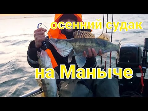 Видео: Веселовское водохранилище/Маныч осенний судак на паролон