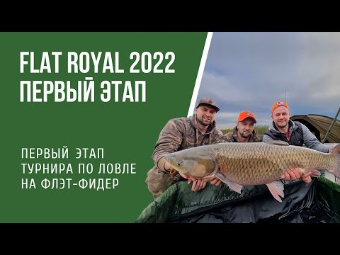 Видео: Турнир Flat Royal 2022 Первый отборочный этап