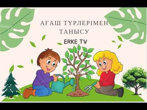 Видео: Ағаш түрлерімен танысу.Ағаштар