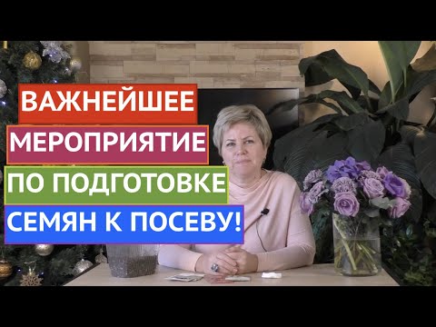 Видео: ЧТО ТАКОЕ СТРАТИФИКАЦИЯ И КАК ПРАВИЛЬНО ЕЕ ДЕЛАТЬ!