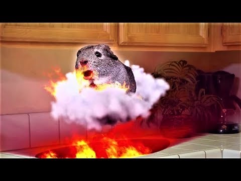 Видео: САМЫЕ ХУДШИЕ РОДИТЕЛИ В МИРЕ! | SMOSH |