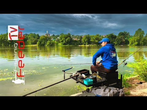 Видео: Рыбалка на фидер. Как поймать леща на реке. Vlog#38 Feeder fishing TV Рыбалка 2019 flagman