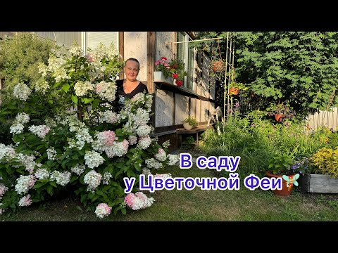 Видео: В гостях у Светланы. Её прекрасный сад. Конец июля.