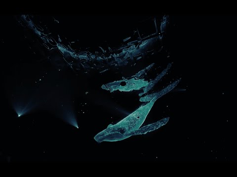 Видео: Посетила невероятно красивое арт-пространство в Паттайе | PADO MEDIA ART SPACE