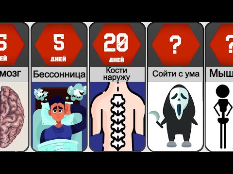 Видео: Если не Вставать с Кровати Вечно