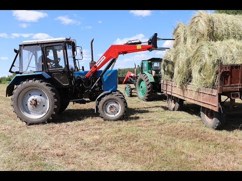 Видео: Фаворит 800 в работе
