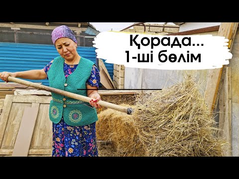 Видео: Vlog. Қорада қой маңырап, тауық айқайлап тұр