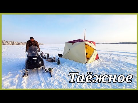 Видео: Рыбалка на таёжном озере. Нижневартовск