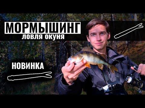 Видео: Осенняя ловля окуня на мормышинг