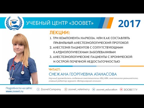 Видео: Атанасова С.Г. в УЦ «Зоовет» | Анестезиология, ч. 1