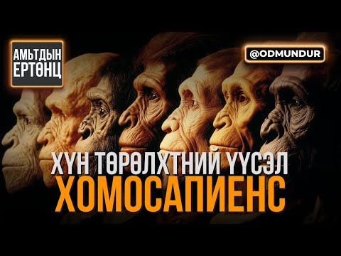 Видео: Хомосапиенс - АМЬТДЫН ЕРТӨНЦ