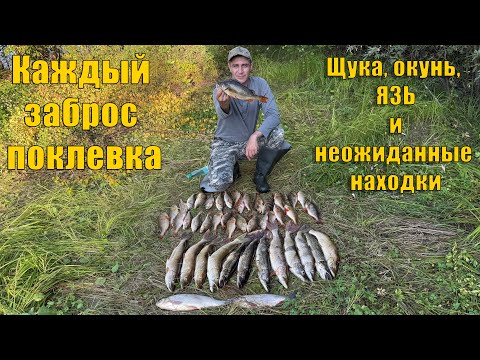 Видео: Каждый заброс — поклёвка! Етыпур удивил по полной. Рыбалка 2025.
