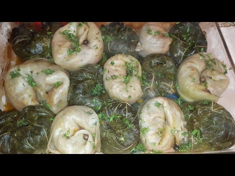 Видео: ГАЛУБСИ ДАМЛАМА ДАР ТАФТОН ЛАЗЗАТАШ АЧОИБОТ...