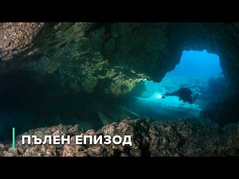 Видео: Природният рай на Бахамите | Непознати пейзажи 106