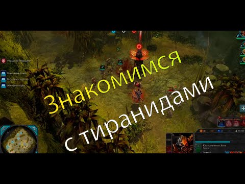 Видео: Знакомимся с тиранидами / Dawn of War 2