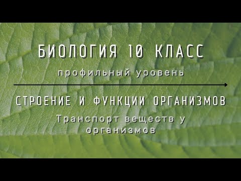 Видео: Биология 10 кл Проф уровень §35 Транспорт веществ у организмов