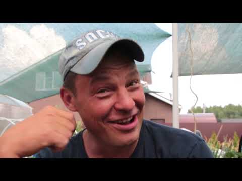 Видео: защита от града два способа - простой народный и сложный технический