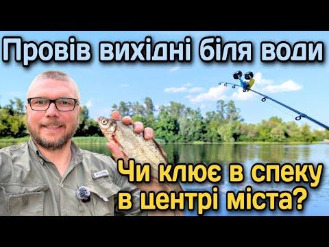 Видео: Провів вихідні біля води. Чи клює в спеку в центрі міста?