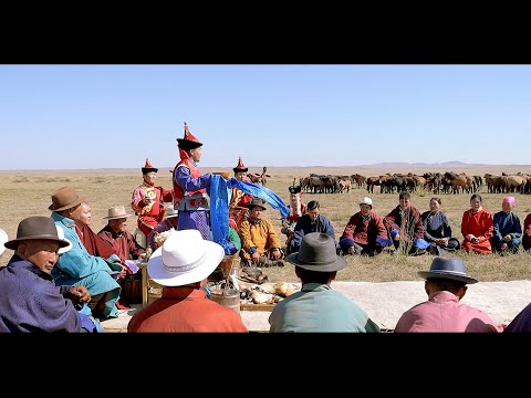 Видео: [ Өв ] нэвтрүүлэг Гүүний үрс гаргах ёсны тухай