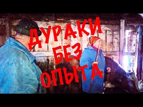 Видео: ВО ЧТО МЫ ВЛОЖИЛИ ДЕНЬГИ?!