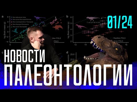 Видео: Тирекс НЕ умён как бабуин | Нанотираннус легитимен | Кожа древних амниот | Закон Копа