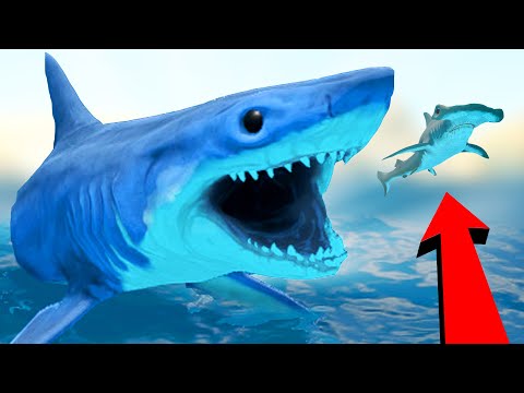 Видео: ГИГАНТСКАЯ АКУЛА МАКО ЗАХВАТИЛА ОКЕАН, ОБНОВЛЕНИЕ! | Feed and Grow Fish