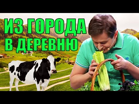 Видео: Из города в деревню! Свежий воздух и умиротворение, жизнь в деревне как она есть! | Приколы 2021