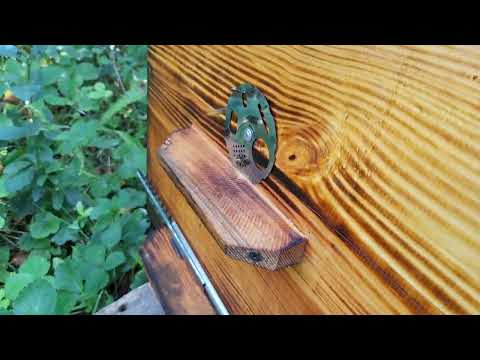 Видео: Пчёлы и мёд