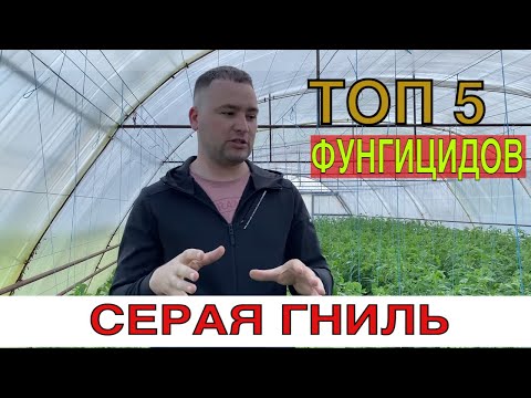 Видео: ТОП 5 фунгицидов против серой гнили