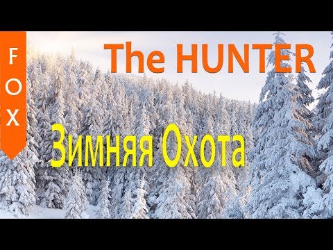 Видео: The Hunter Американский беляк и другие лоси.