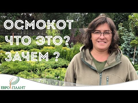Видео: Маслянистые шарики в контейнерах с растениями.