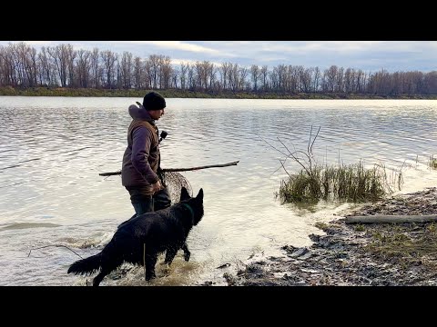 Видео: ФИТИЛИ ЛОВЯТ ВСЕ ПОДРЯД, ОНА СЪЕЛА ВСЕ ЛОВУШКИ НО Я ЕЕ ПОЙМАЛ. РЫБАЛКА ФИТИЛЯМИ #фитили #лайк🤝