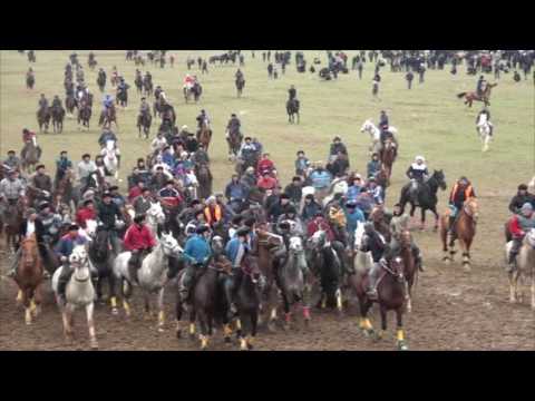 Видео: ОҚО, Шардара ауданы, Зауірбек ағамыздың ас көкпары 16