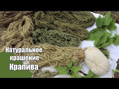 Видео: Крашение натуральными красителями. Крапива