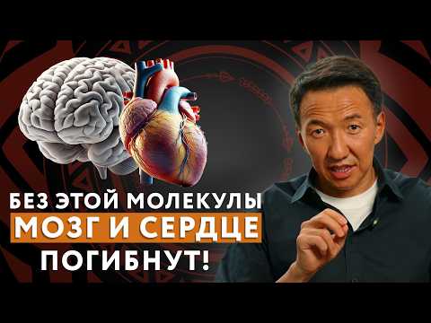 Видео: ОТ ЭТОЙ НЕВЕРОЯТНОЙ МОЛЕКУЛЫ зависят МОЗГ, СЕРДЦЕ, СОСУДЫ, ИММУНИТЕТ! // #докторЖимба
