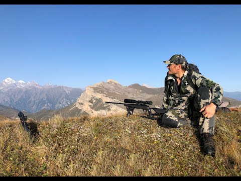 Видео: Охота на тура в сентябре