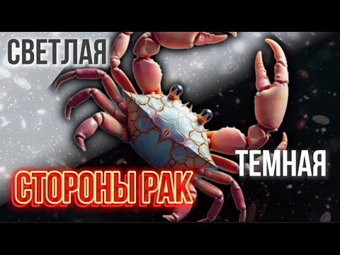 Видео: Светлая и тёмная стороны Рака: характер | тайны души и путь к гармонии