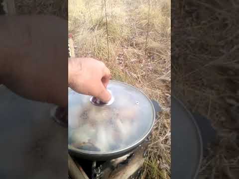 Видео: дизельный примус привезенный из пустыни.   горелка на солярке..