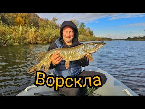 Видео: Два дні рибалки на Ворсклі 🎣 Щука і жерех, човен і справжній відпочинок! #рибалка #ворскла  #щука