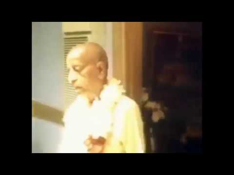 Видео: ДЖАПА 30 минут. Шрила Прабхупада видео. Shrila Prabhupada JAPA