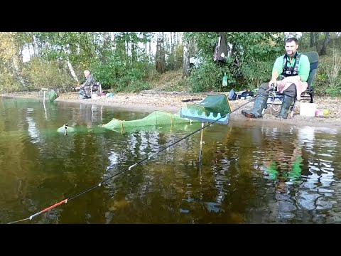 Видео: на что ловить рыбу-рыбалка на фидер в октябре