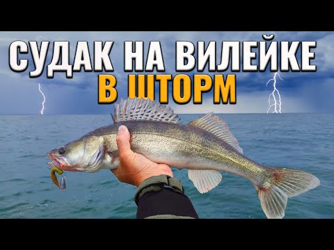 Видео: Погода ловле судака не помеха! Вилейка, рыбалка, лето...