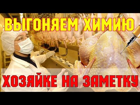 Видео: Как БЫСТРО выгнать химию из магазинной курицы.Совет от работника мясокомбината.