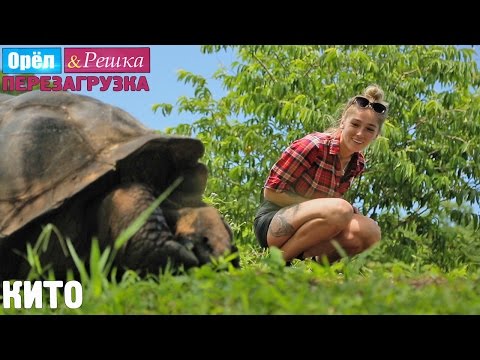 Видео: Кито. Орёл и Решка. Перезагрузка