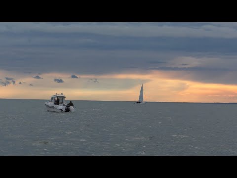 Видео: Рыбалка на тейл спиннер. Водохранилище. Судак.
